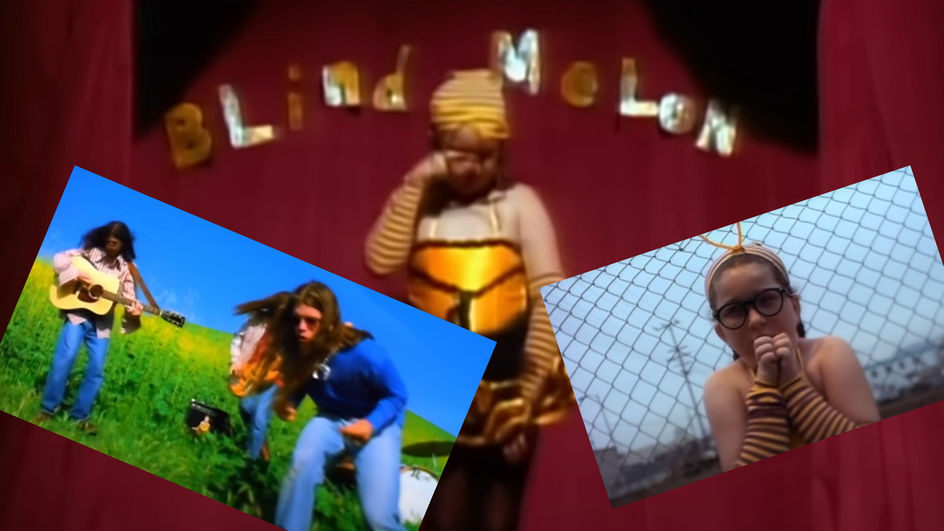 Blind Melon: The Rise, The Fall, and the Legacy of Shannon Hoon